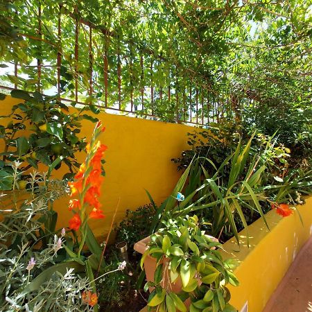 Casa Maestro Lelo - Acogedora Casa Rural Canaria Con Patios Y Jardines De Flores Las Palmas / Gran Canaria Exterior foto