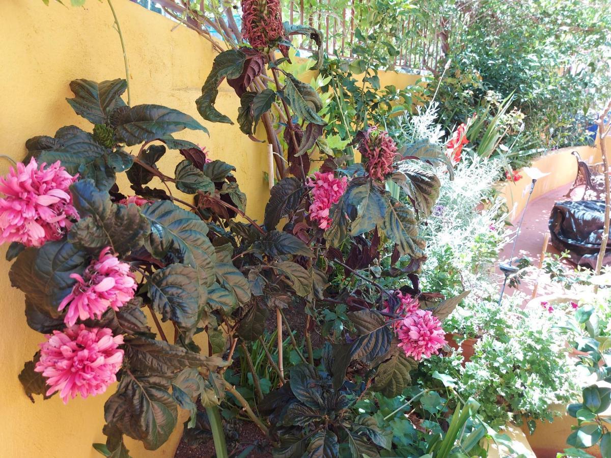Casa Maestro Lelo - Acogedora Casa Rural Canaria Con Patios Y Jardines De Flores Las Palmas / Gran Canaria Exterior foto