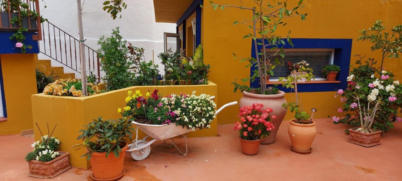Casa Maestro Lelo - Acogedora Casa Rural Canaria Con Patios Y Jardines De Flores Las Palmas / Gran Canaria Exterior foto