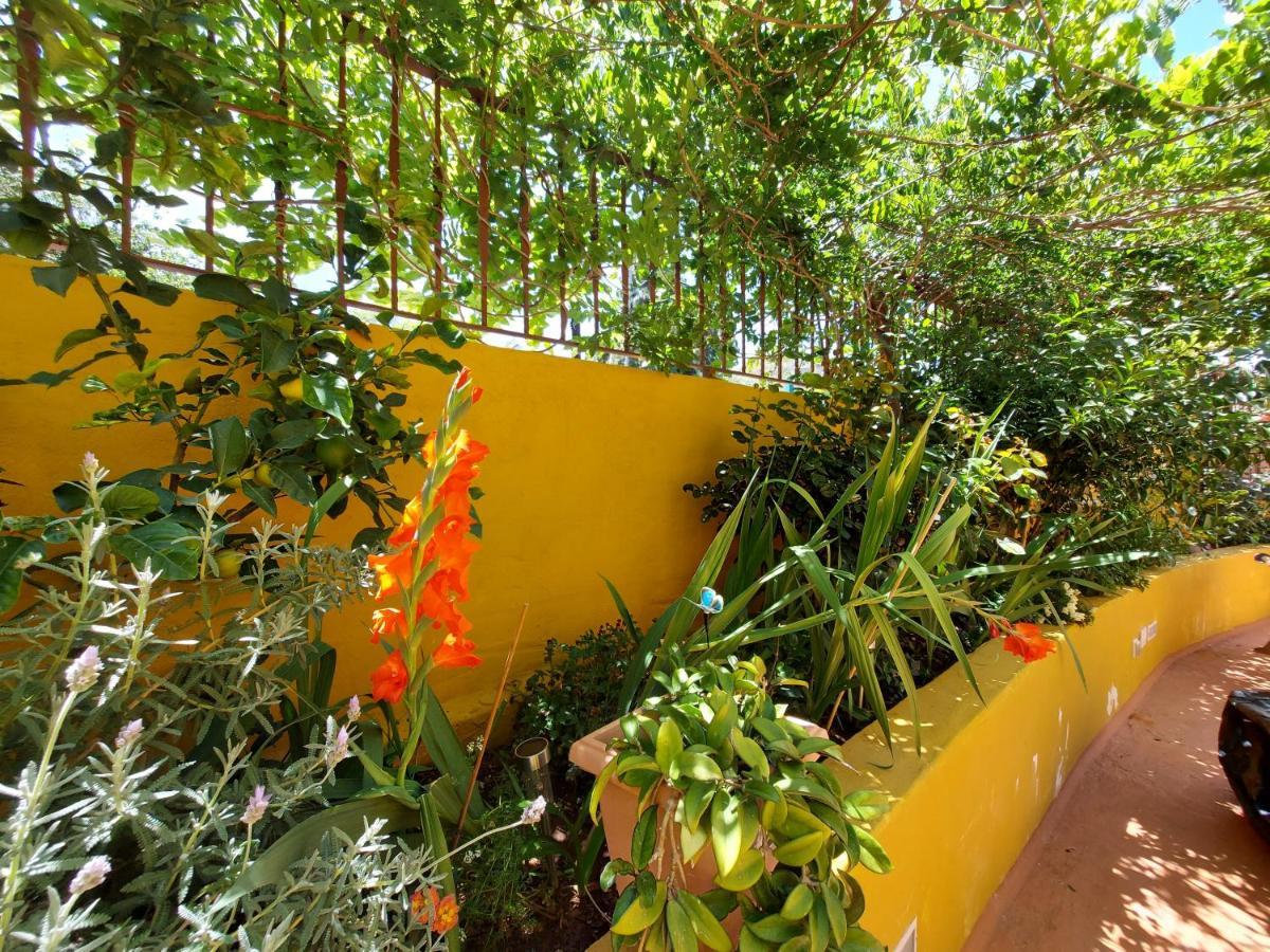 Casa Maestro Lelo - Acogedora Casa Rural Canaria Con Patios Y Jardines De Flores Las Palmas / Gran Canaria Exterior foto